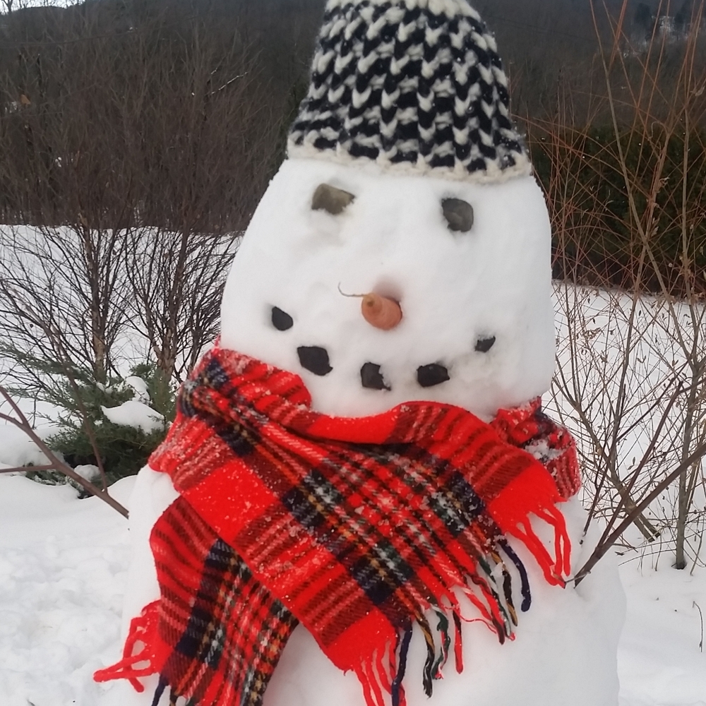 Meet your Posher, VT Mom